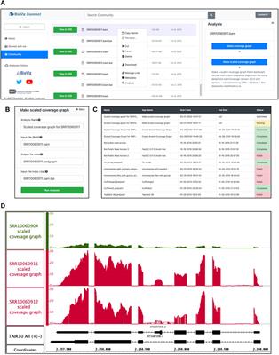 BioViz Connect: Web Application Linking CyVerse Cloud Resources to Genomic Visualization in the Integrated Genome Browser